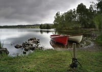 Tethered Tranquillity exclusive print