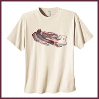 Image 1 of Tee Shirt Organic Cotton - Hummingbird Queen