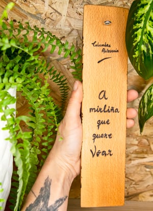 Image of A mirliña que quere voar.