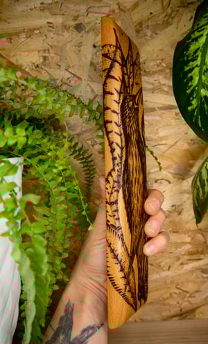 Image of A mirliña que quere voar.