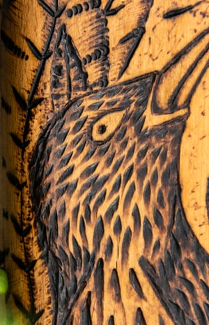 Image of A mirliña que quere voar.