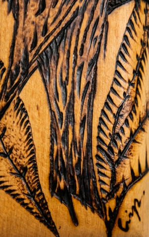 Image of A mirliña que quere voar.