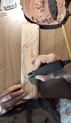 Image of A mirliña que quere voar.