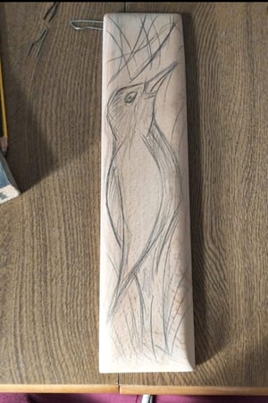 Image of A mirliña que quere voar.