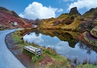 Fairy Glen lovers bench exclusive print