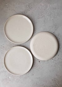 Image 4 of Flat plate in Fleck