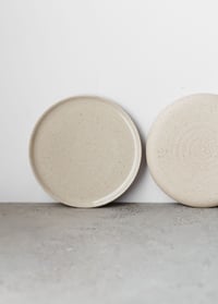 Image 2 of Flat plate in Fleck