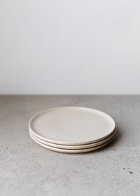 Image 3 of Flat plate in Fleck