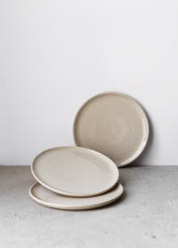 Image 1 of Flat plate in Fleck