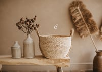 Image 6 of Basket on SALE