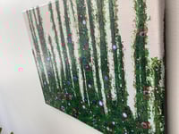 Image 3 of Morning Glory Forest