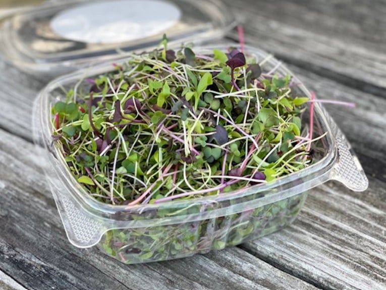 Image of 32 oz. Variety Tray - Pea, Sunflower, Salad Mix, Cilantro