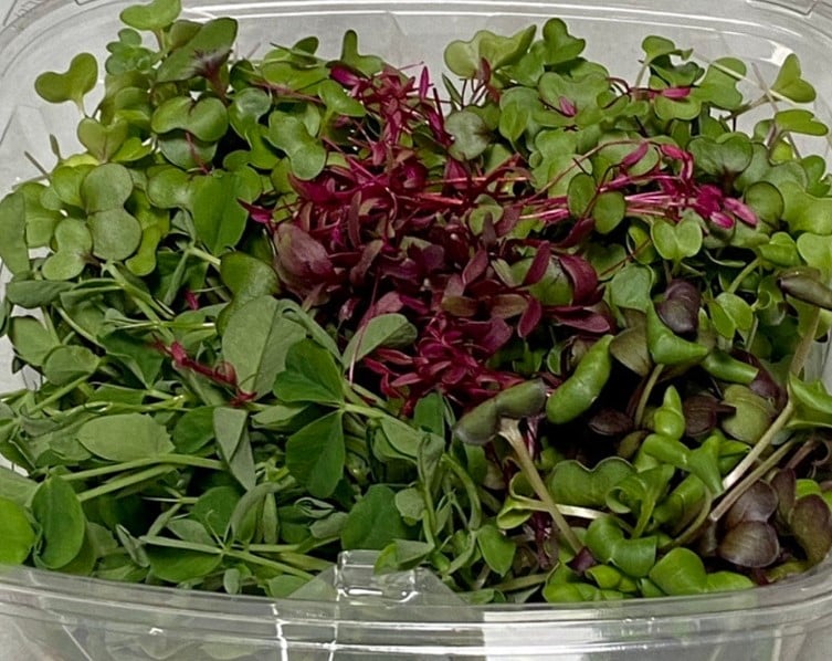 Image of 32 oz. Variety Tray - Sunflower, Broccoli, Radish, Cilantro