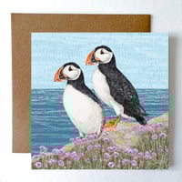 Image 1 of PUFFIN