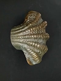 Image 3 of Curved Bronze Door Handle in the Shape of a Seashell
