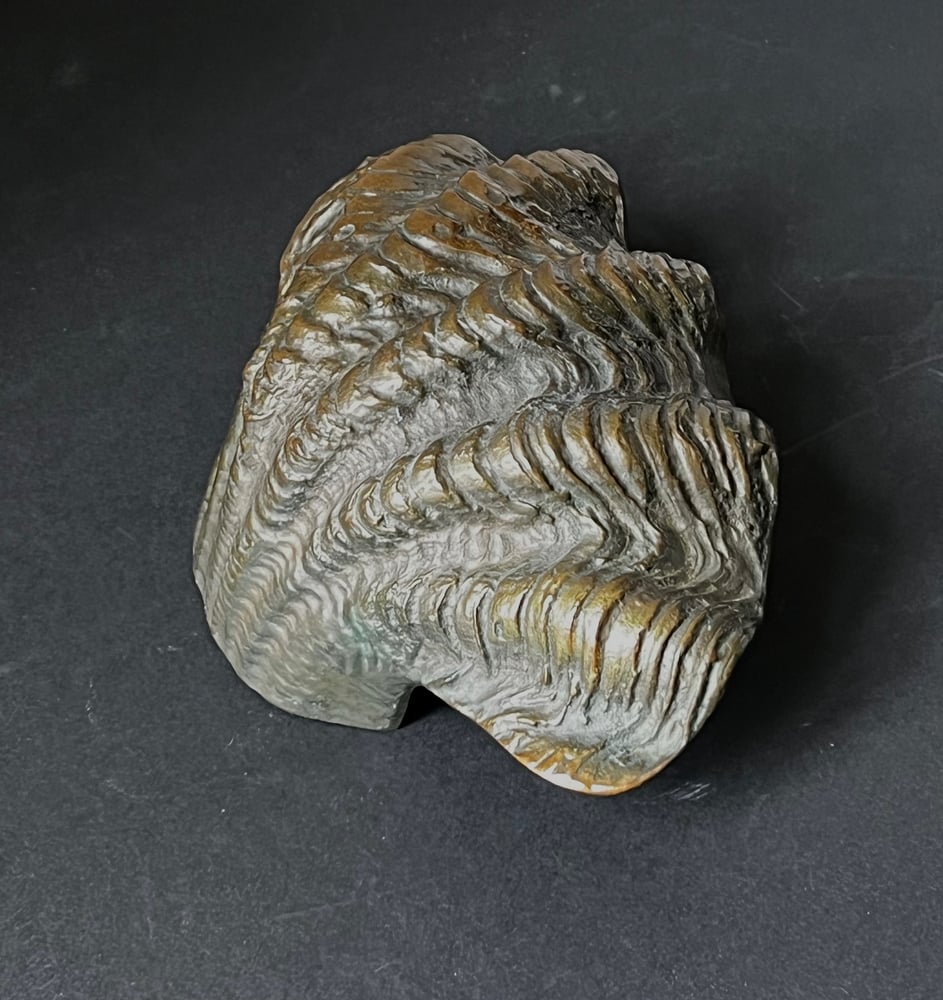 Image of Curved Bronze Door Handle in the Shape of a Seashell (Reserved)