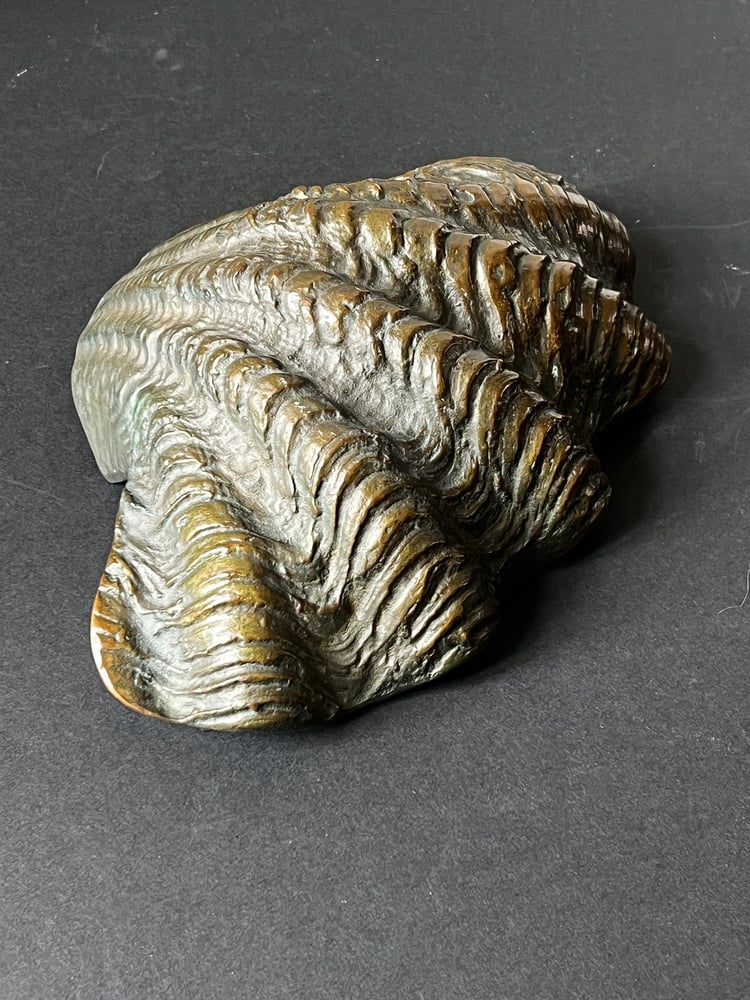 Image of Curved Bronze Door Handle in the Shape of a Seashell (Reserved)