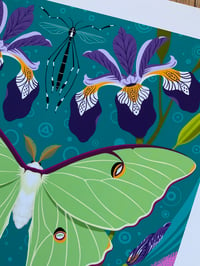 Image 2 of Luna Moth Mandala