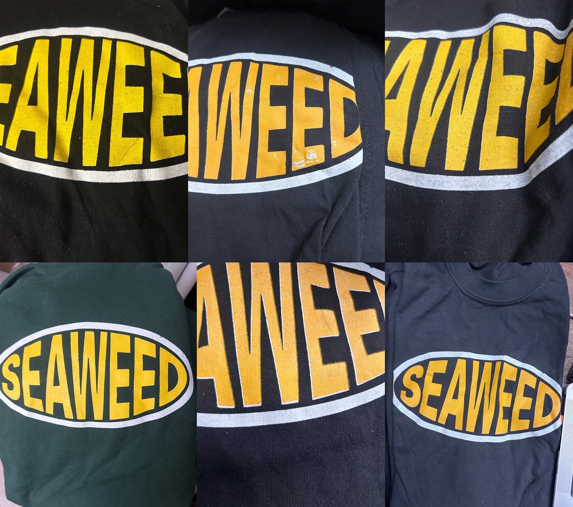 Image of MISPRINT(flawed) Seaweed Logo T-Shirt on Comfort Colors 1717 (50-75 OFF), Screen printed 100% cotton