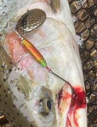 Image 1 of Lime Green Blood Splatter 