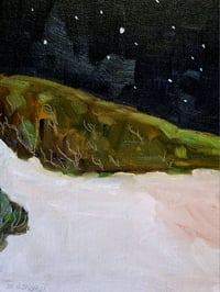 Image 3 of The serious moonlight