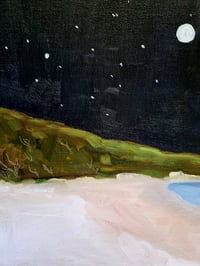 Image 4 of The serious moonlight