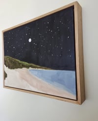 Image 5 of The serious moonlight