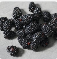 Black Berry 
