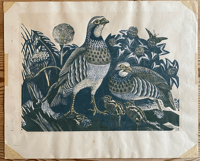 Image 1 of Family of Partridges original print by James T A Osborne