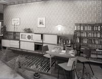 Image 4 of Provence by Lucienne Day at Mini Moderns - Chestnut 