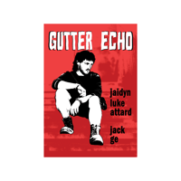 Image 1 of Gutter Echo