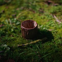 Image 2 of Young oak cups