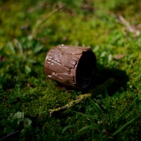 Image 3 of Young oak cups