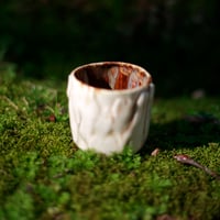 Image 2 of Young oak cups - matching set
