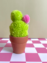 Image 2 of pom pom cactus