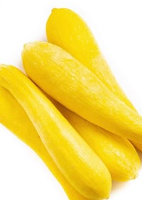 Image 2 of Summer Squash