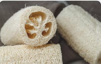 Loofah 