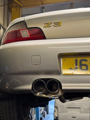 Image of 3" Dual Tips