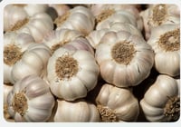 Image 2 of Garlic Plant