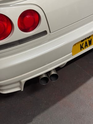 Image of 3" Dual Tips