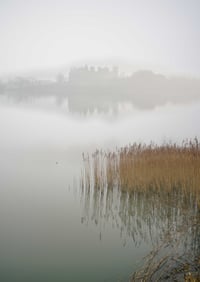 Image 2 of Reeds in the mist exclusive print