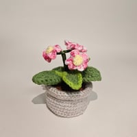 Mini Potted Flowers - Pink