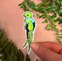 Image 2 of Quetzal Stickers (set of 4)