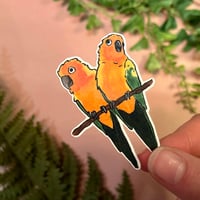 Image 2 of Sun Conures Stickers (set of 4)