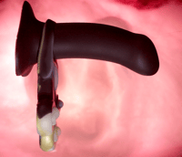 Image 3 of Chime