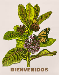 BIENVENIDOS