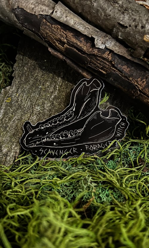 Image of JAWBONE SCAVENGER - FORAGER - WITCH STICKER