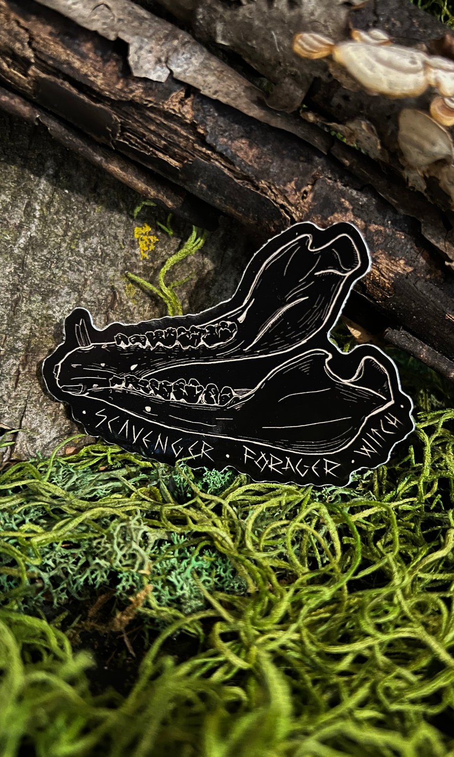 Image of JAWBONE SCAVENGER - FORAGER - WITCH STICKER