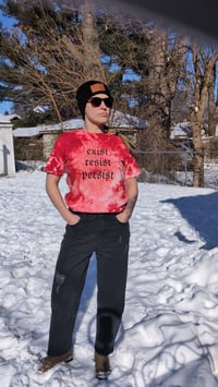 Image 3 of Exist-resist-persist Tshirt