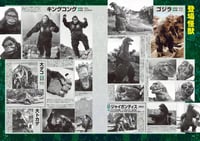 Image 2 of Book: KvG 1962 Japan Completion Book